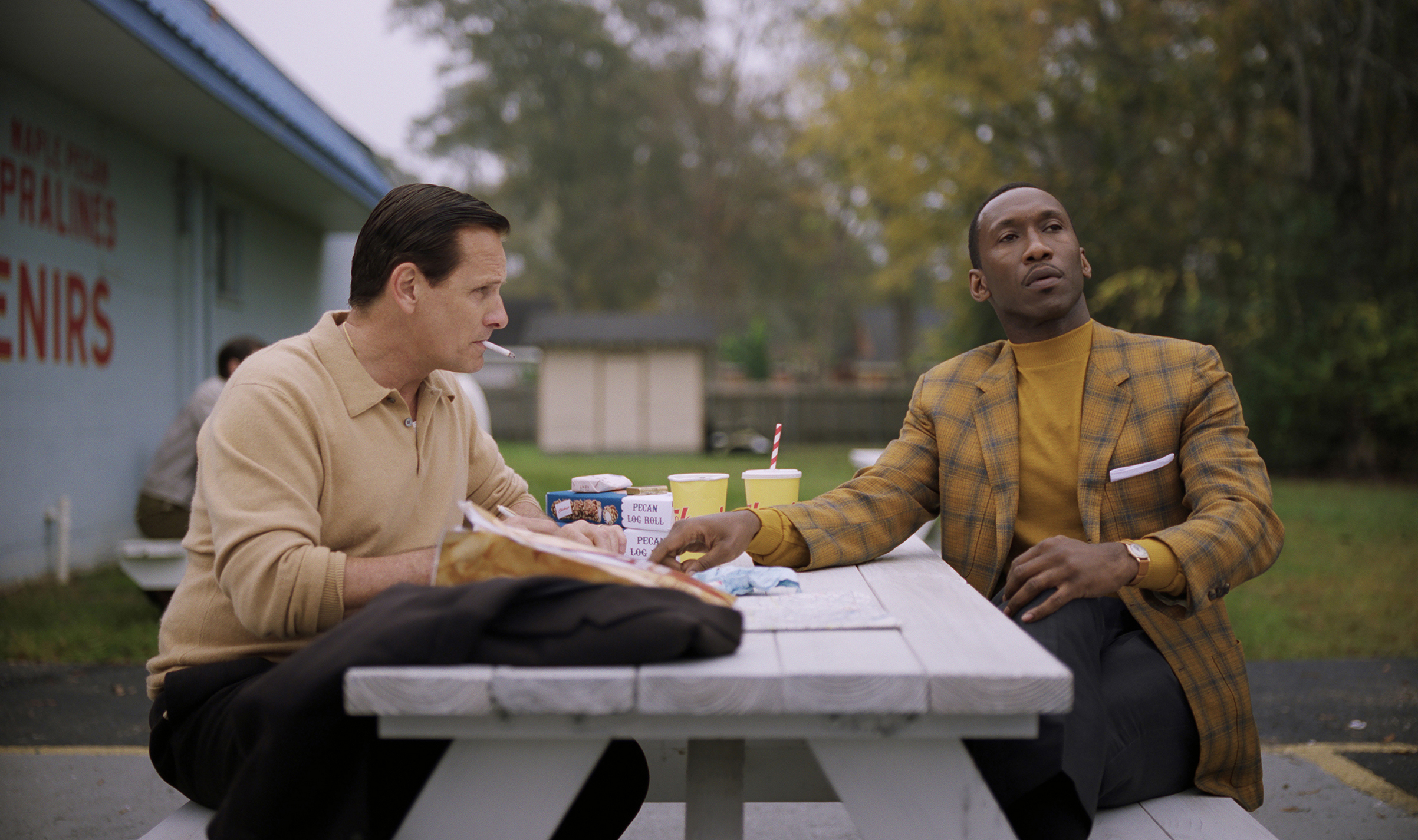 Green-book-mahershala-ali-top-10-movie-performance-best-of-culture-2018.jpg